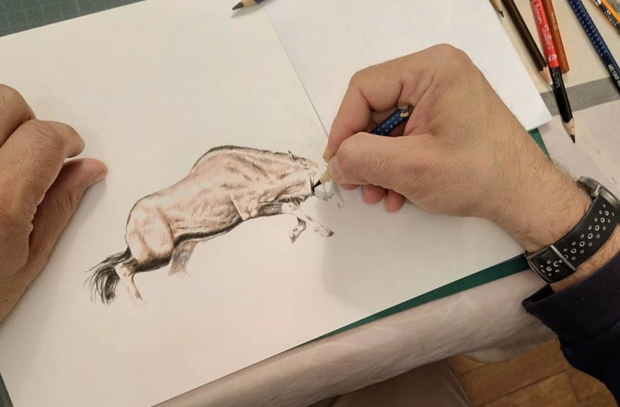 photo de l'artise entrain de dessiner