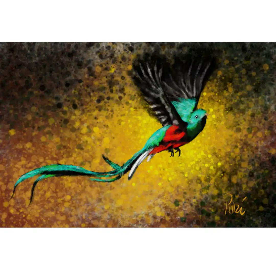 Quetzal en vol d’après photo